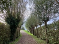IMG-20251031-WA0011